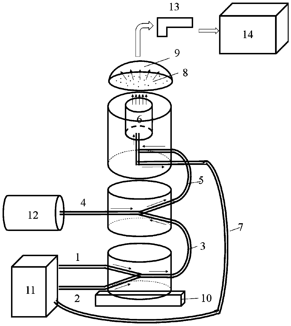 Detection method for directly determining trace halogen