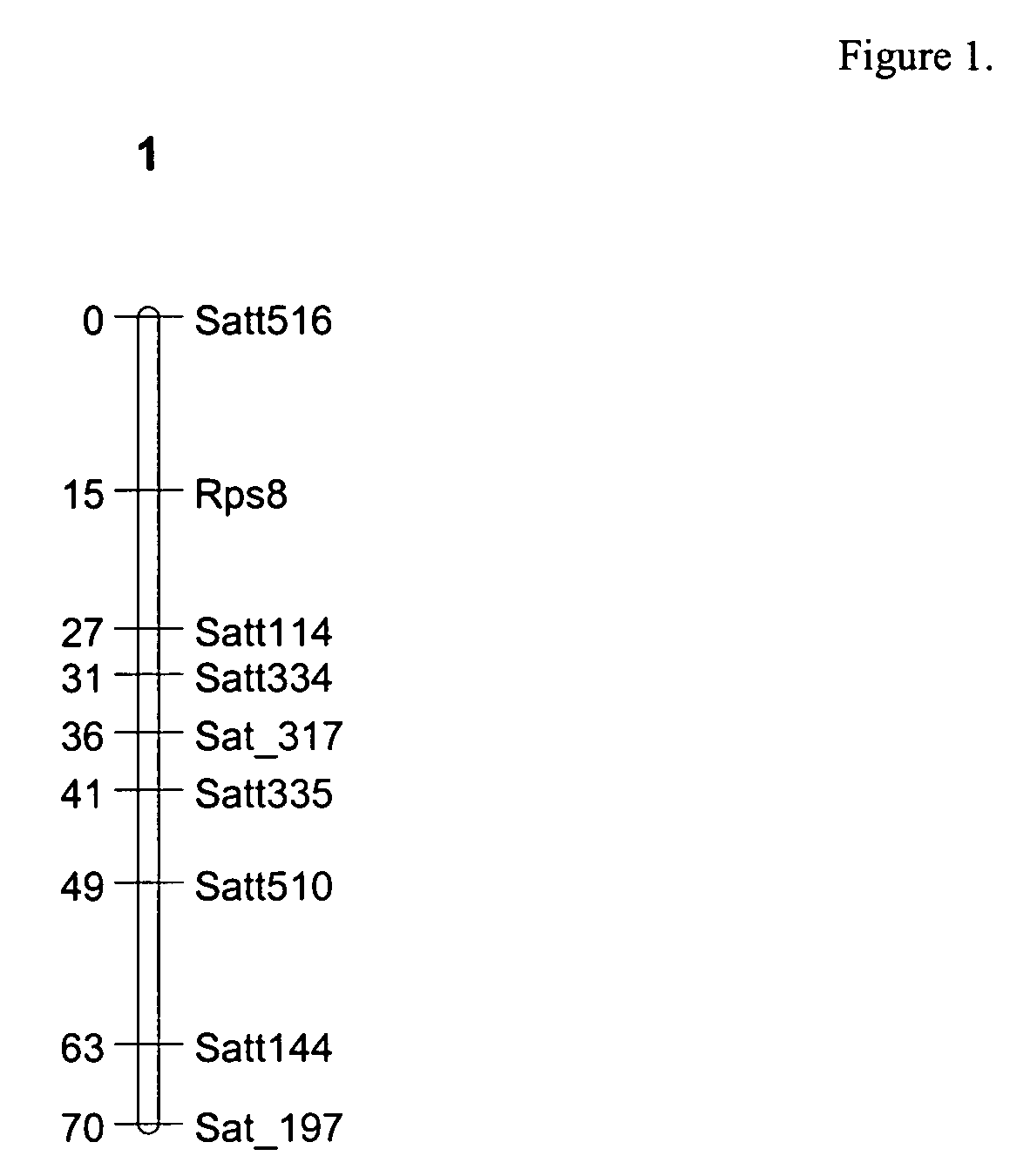 Identification of soybeans having resistance to <i>Phytophthora sojae</i>