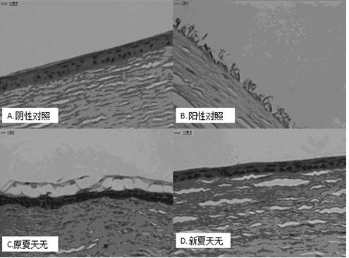 Decumbent corydalis tuber eye drop and preparation method thereof