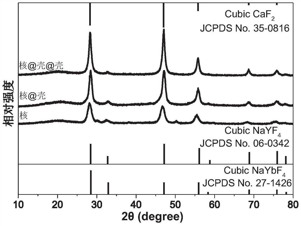 Superbright monochromatic upconversion nanoprobe for excitation/emission in biological window as well as preparation method and application of superbright monochromatic upconversion nanoprobe