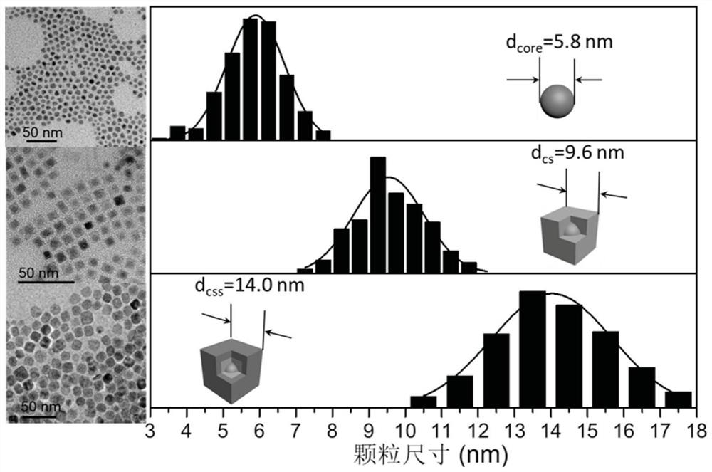 Superbright monochromatic upconversion nanoprobe for excitation/emission in biological window as well as preparation method and application of superbright monochromatic upconversion nanoprobe