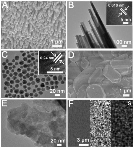 Photoelectrochemical biosensor and detection method thereof for BLM (bleomycin)