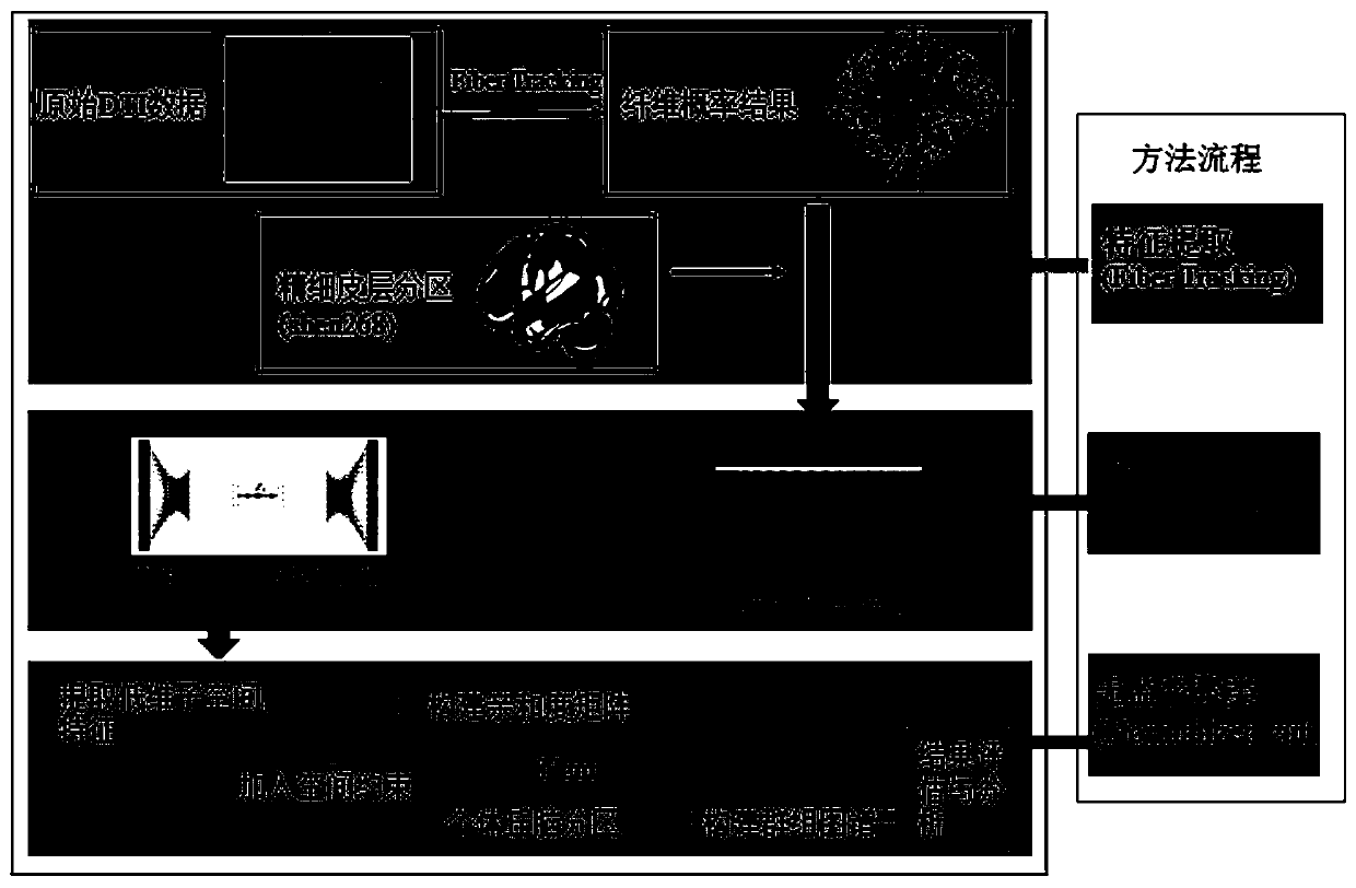 Thalamus function partitioning method based on subspace feature learning