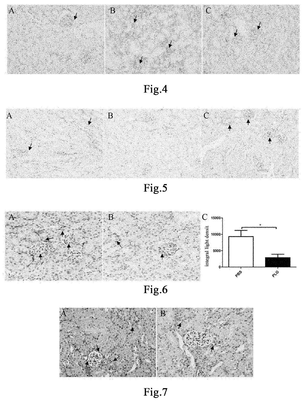 Method for preventing and treating pathological renal tissue injury