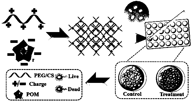 Polyoxometallate and chitosan cross-linked supramolecular film as well as synthesis method and application thereof in antibacterial aspect