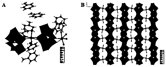 Polyoxometallate and chitosan cross-linked supramolecular film as well as synthesis method and application thereof in antibacterial aspect