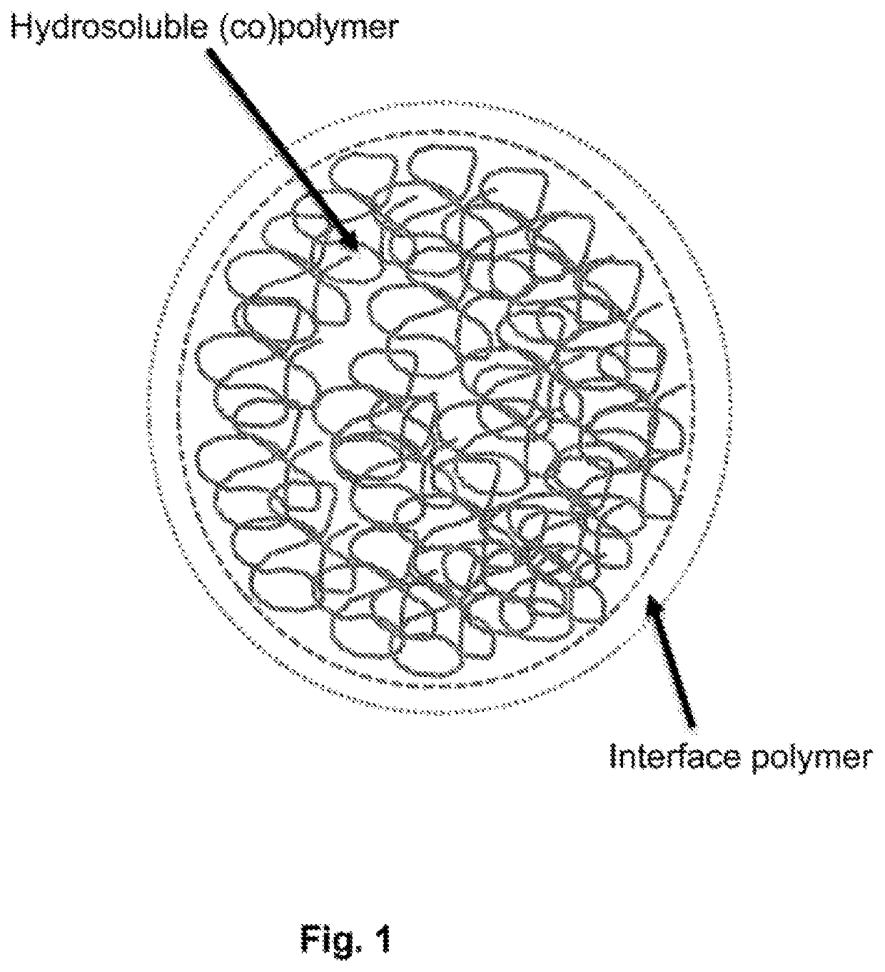 Method for preparing a composition comprising a hydrosoluble (CO)polymer encapsulated in a shell and use of this composition in assisted oil and gas recovery