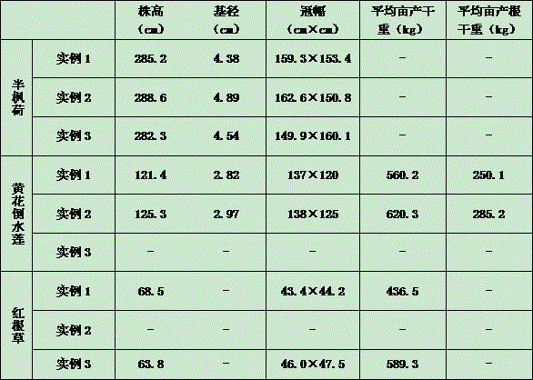 Method for interplanting traditional Chinese medicinal materials in karst area abandoned farmland in stereoscopic compound mode