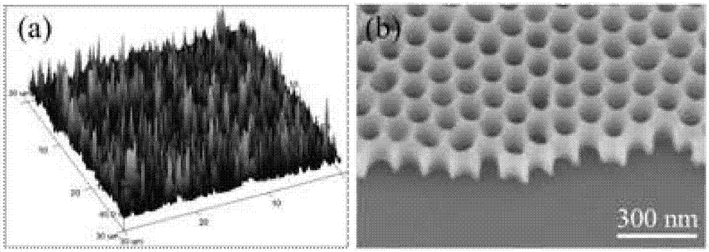 High-sensitivity pressure sensor based on graphene with pointed cone structure and manufacturing method thereof