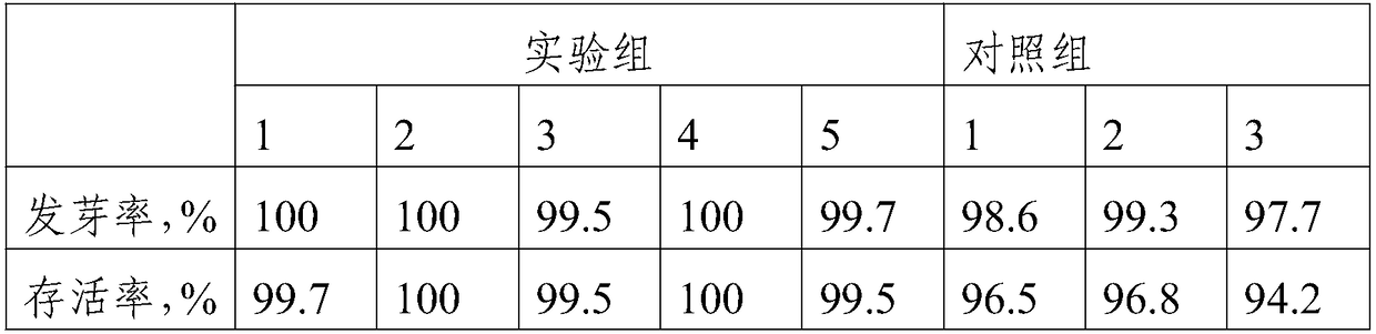 Rice carbon-based seedling-raising substrate and preparation method thereof