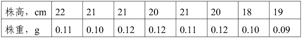 Rice carbon-based seedling-raising substrate and preparation method thereof