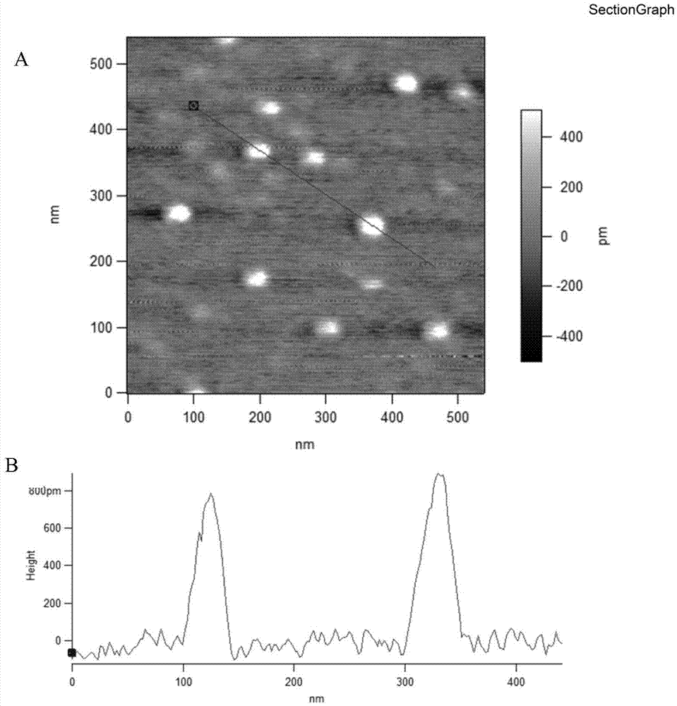 Preparation method of electronegative monolayer graphene