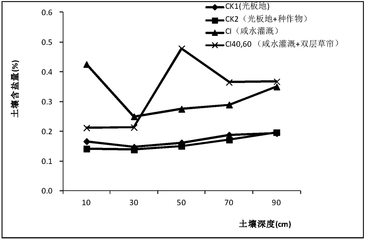 Method for preventing salt accumulation on saline-alkali soil surface