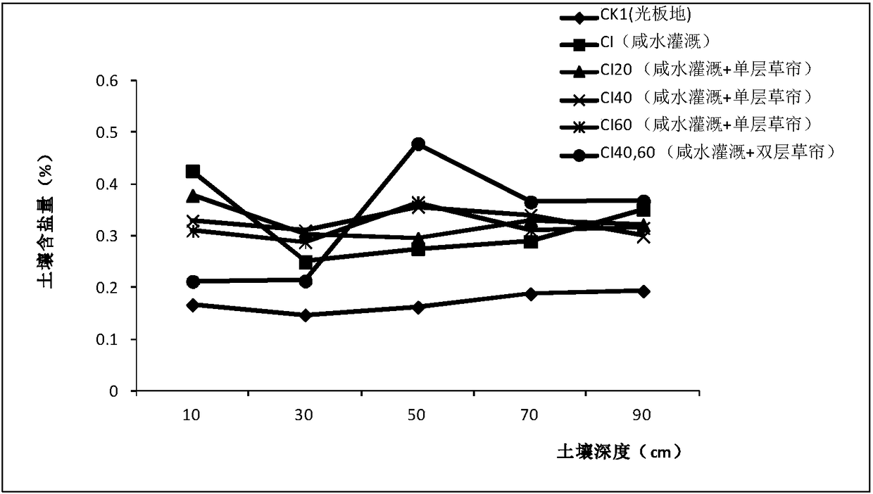 Method for preventing salt accumulation on saline-alkali soil surface