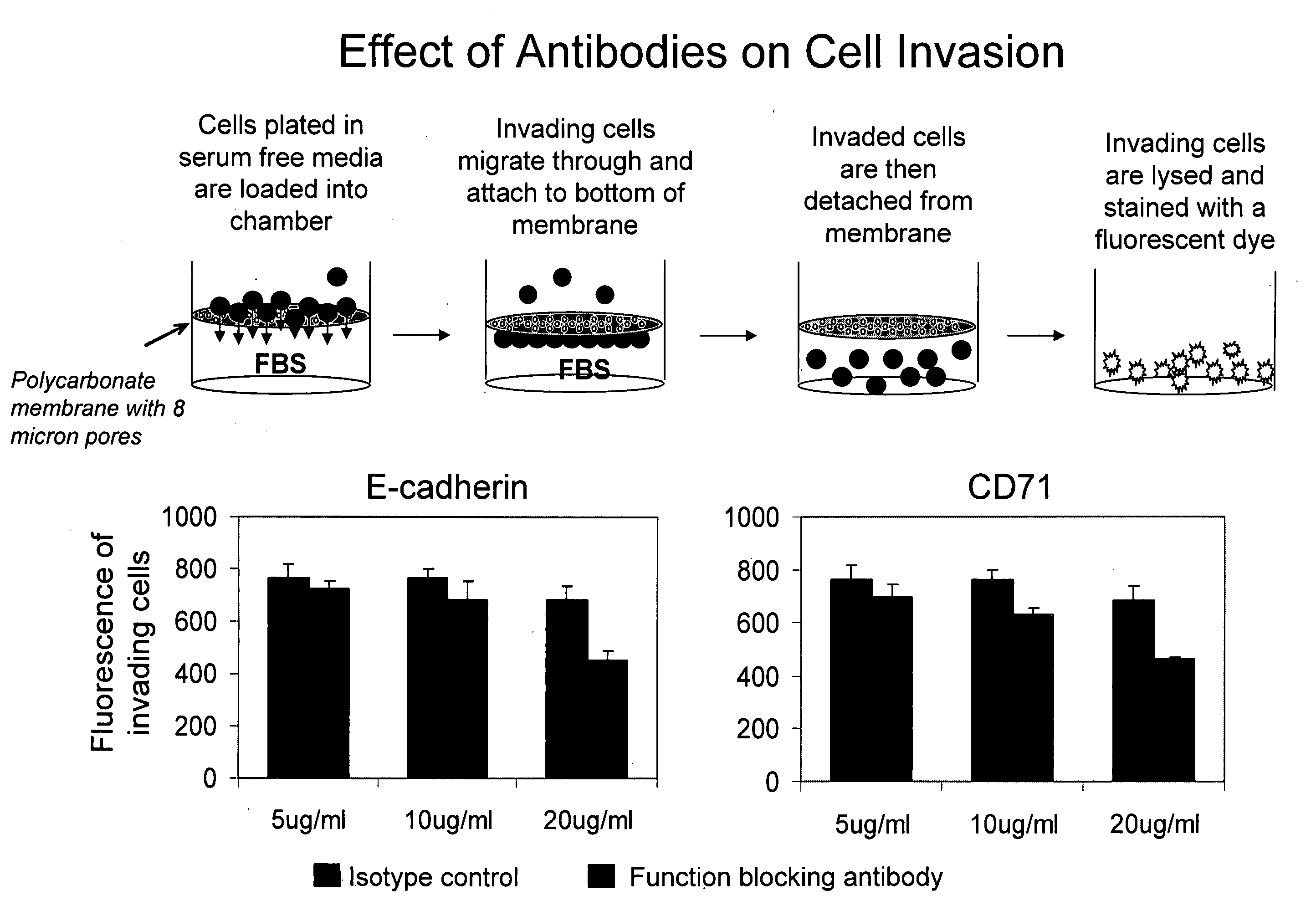 Method and compositions for the treating diseases targeting E-cadherin