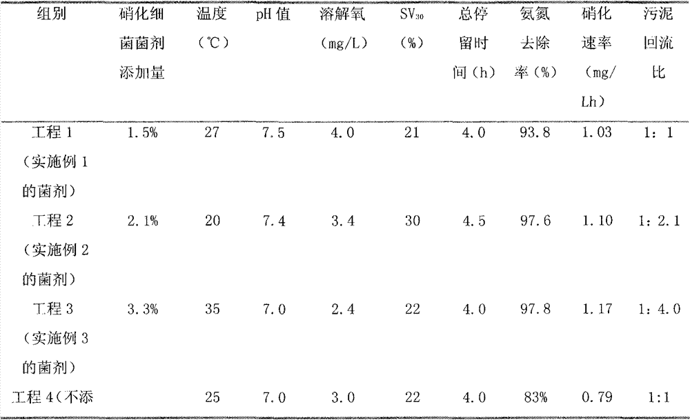 Nitrifying bacterial agent and preparation method thereof