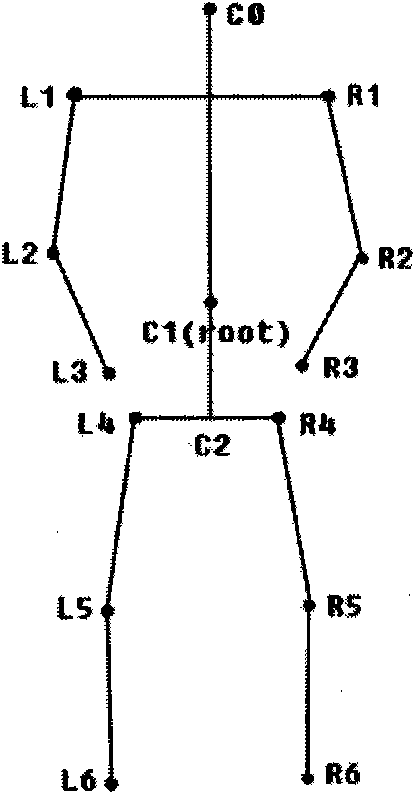 Three-dimensional human modeling method by using cartographical sketching