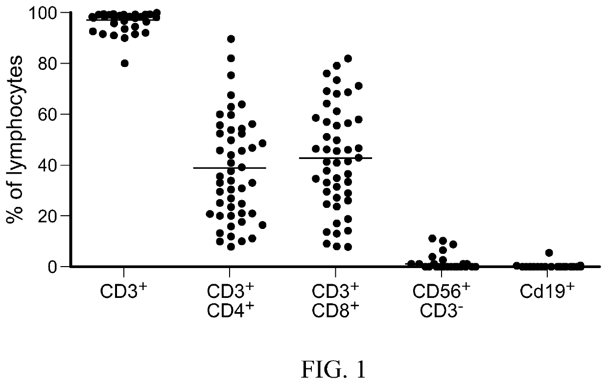 Fixed ratio ex vivo activated mixed lymphocyte products for use in the treatment of cancer