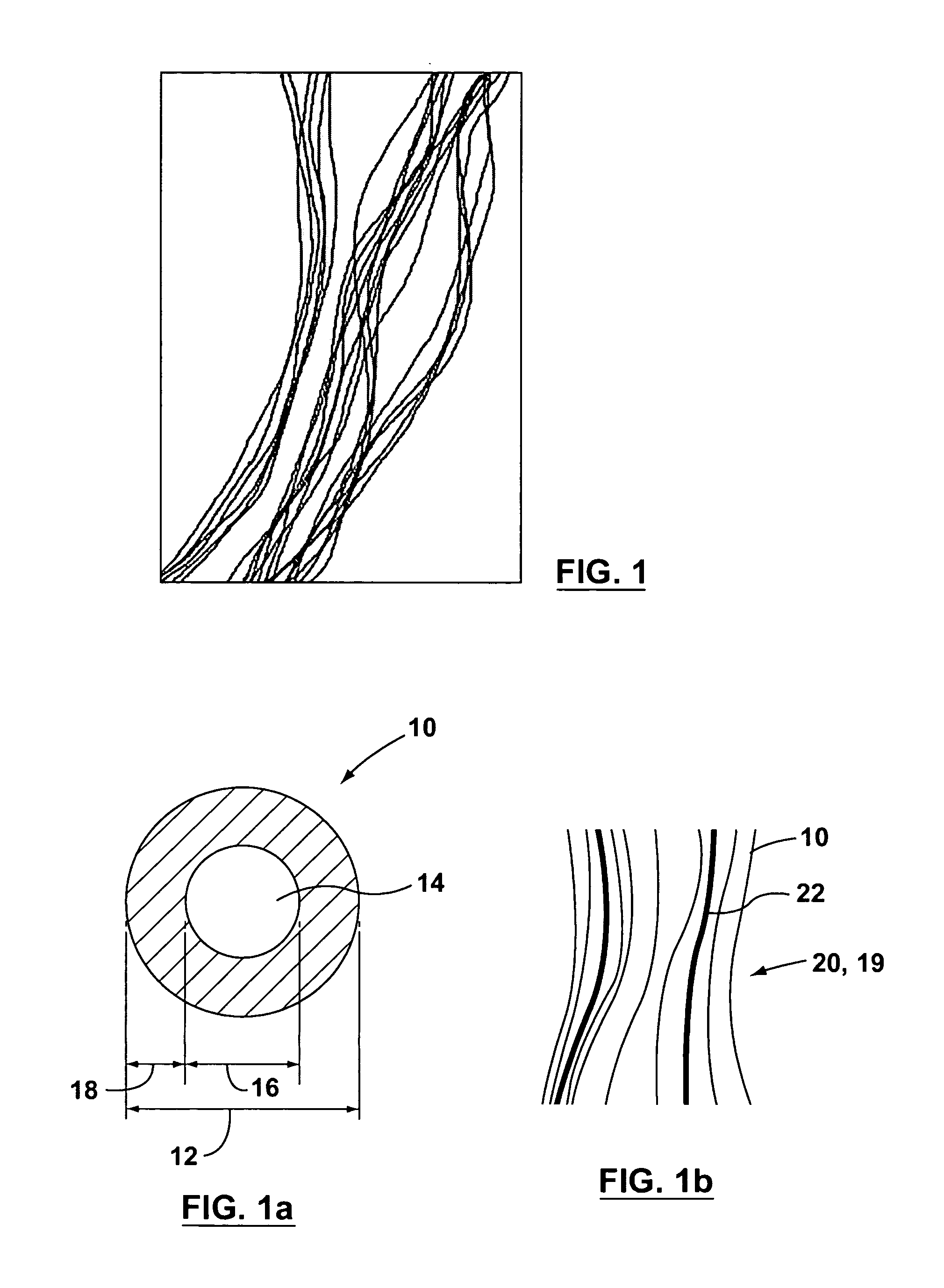 Supported biofilm apparatus and process