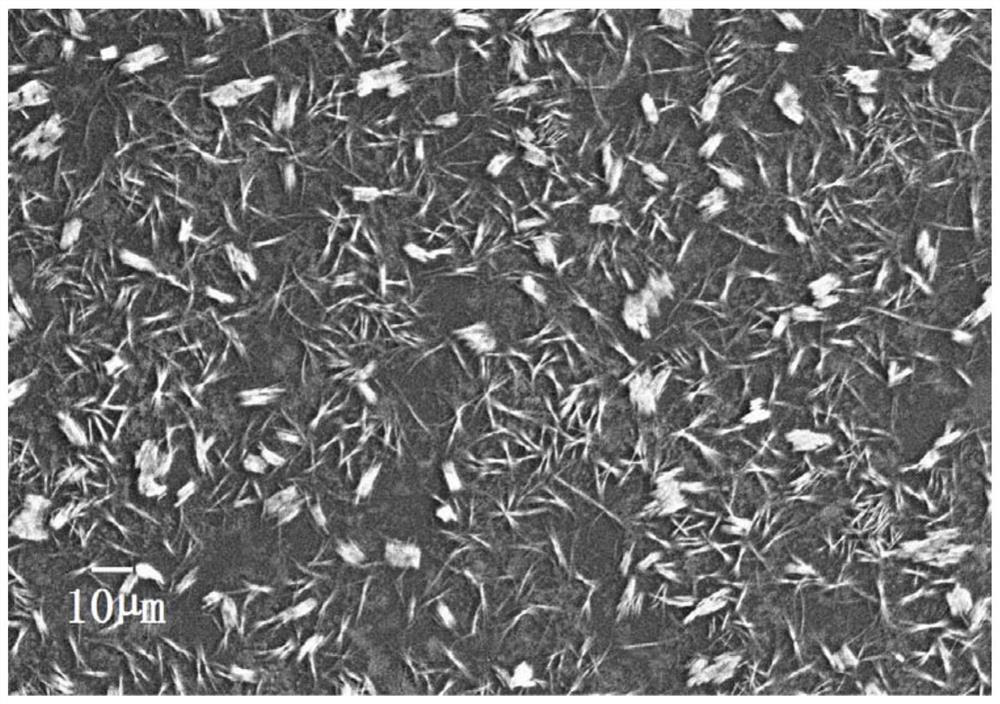 A kind of preparation method of all-inorganic cesium lead halide perovskite nanocrystalline film