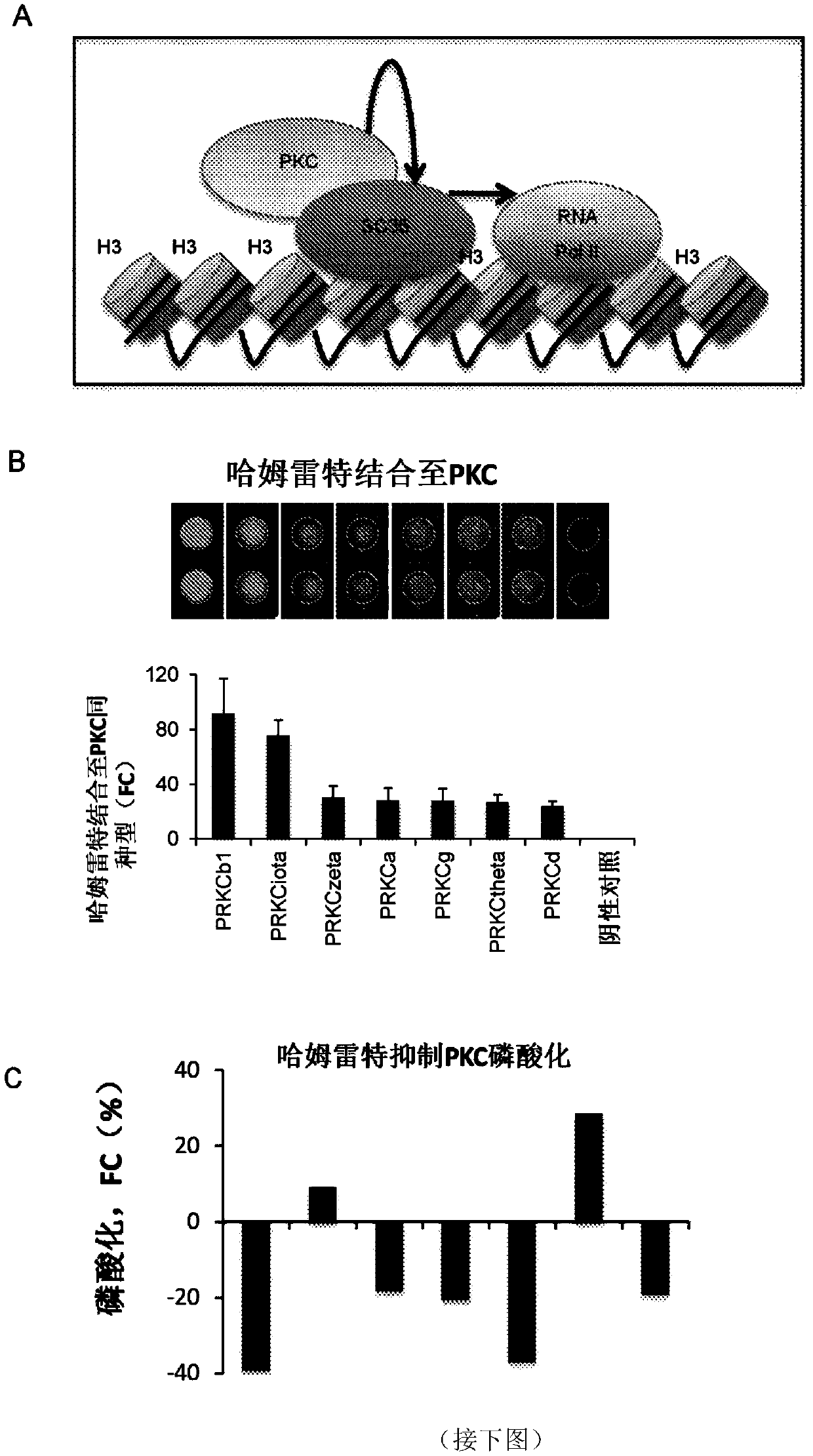 Therapeutically active complexes