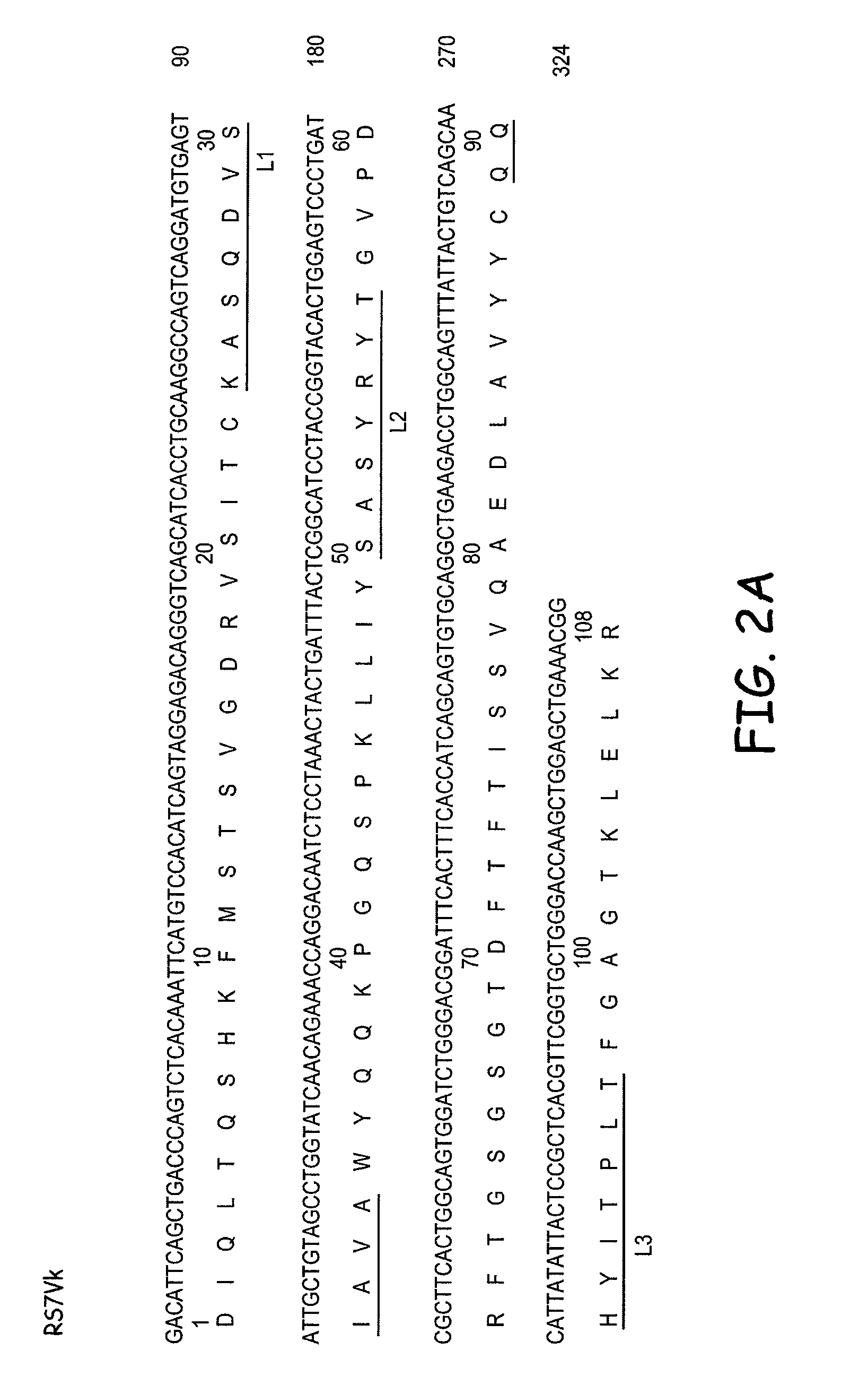 Rs7 antibodies