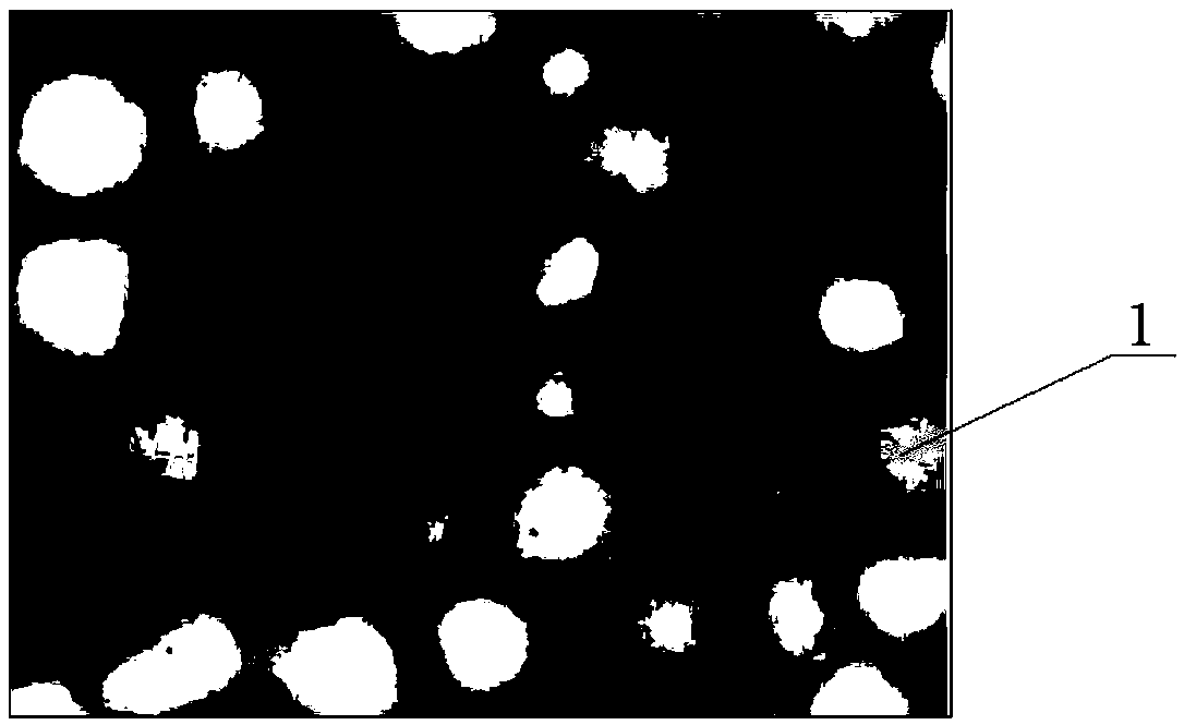 Ceramic particle, and filtering element and preparation method thereof