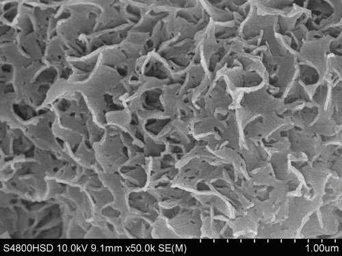 Preparation method of slice-shaped B type carbonate phosphorite