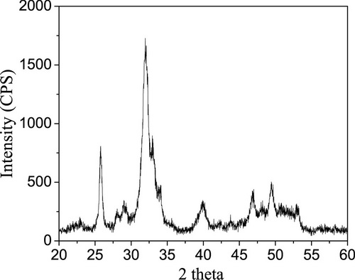 Preparation method of slice-shaped B type carbonate phosphorite