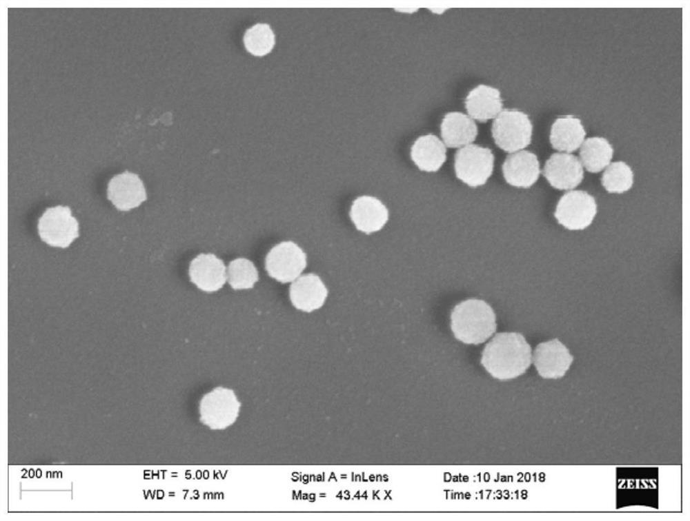 A kind of pH-sensitive nano-medicine based on calcium carbonate coordination chelation drug and its preparation method and application