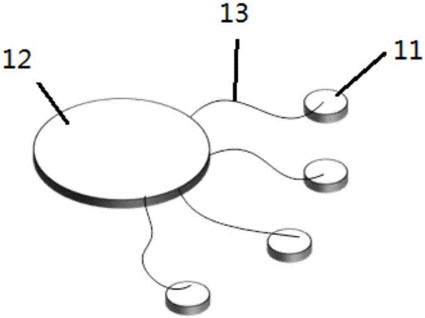 Physiological information detecting device