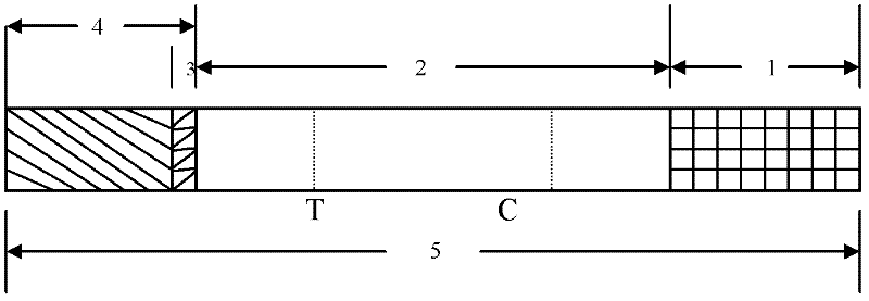 Coxsackie virus type a16 (ca16) igm antibody detection test strip