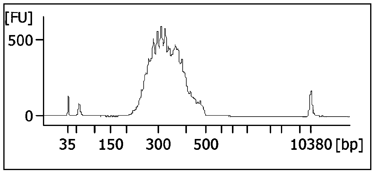 Method for rapid construction of RNA 3' terminal gene expression library