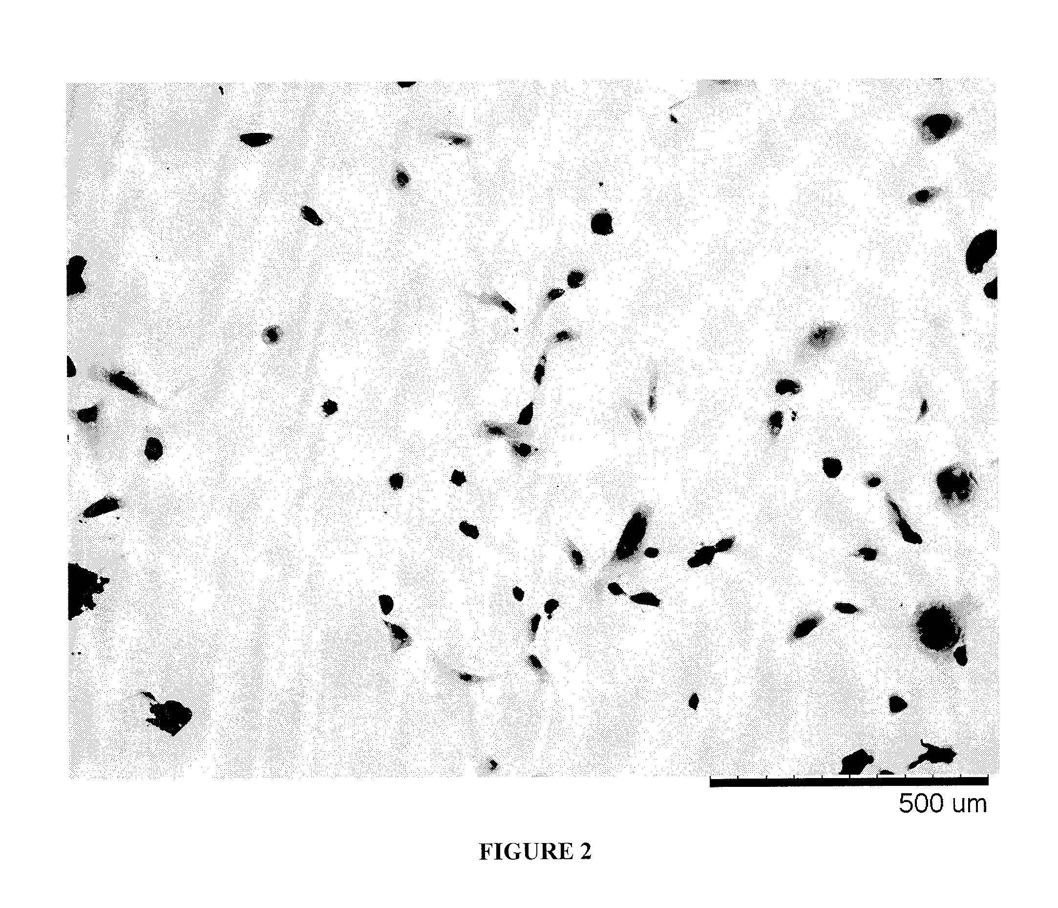 Methods for improving the bioactivity characteristics of a surface and objects with surfaces improved thereby