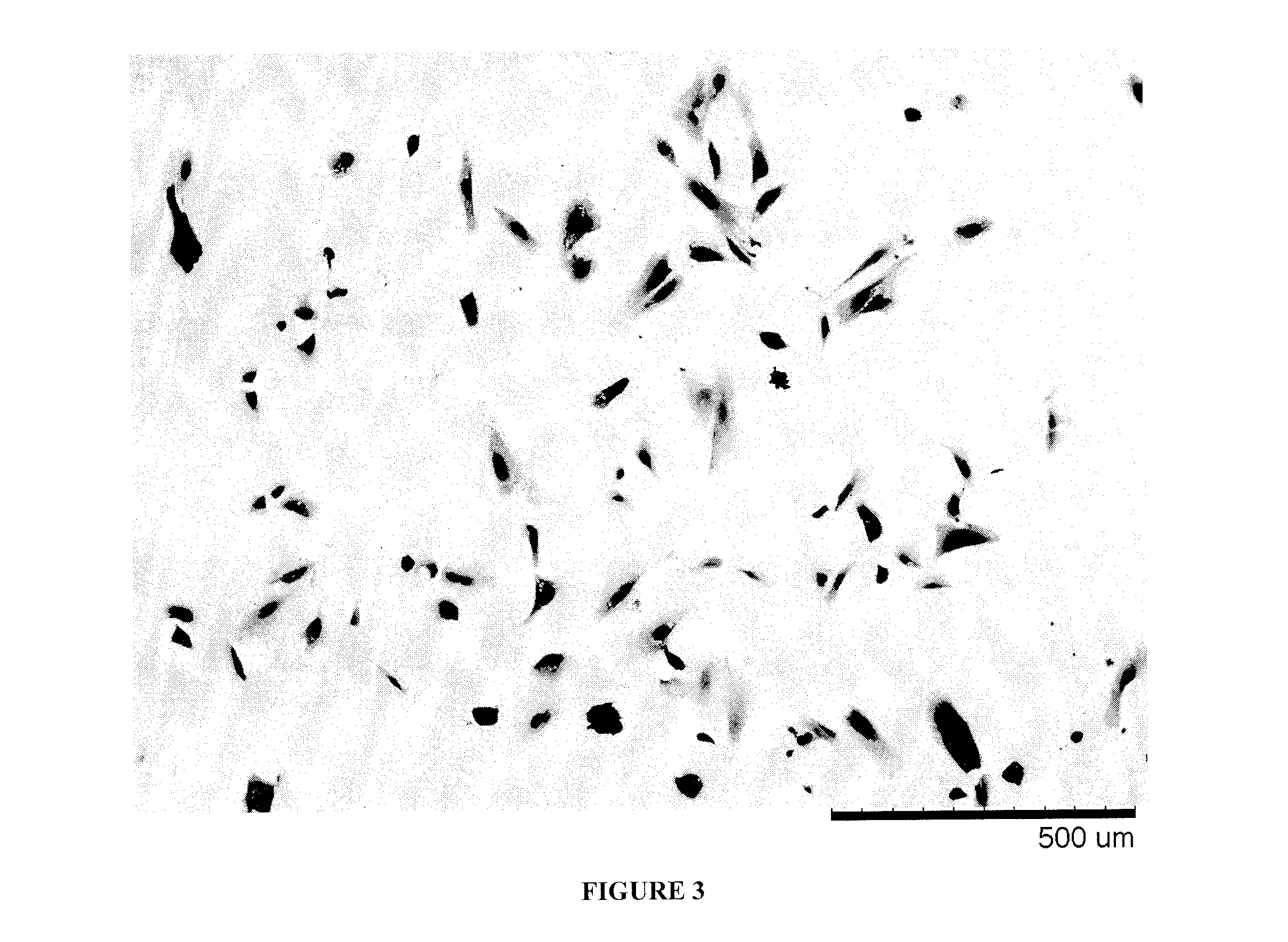 Methods for improving the bioactivity characteristics of a surface and objects with surfaces improved thereby