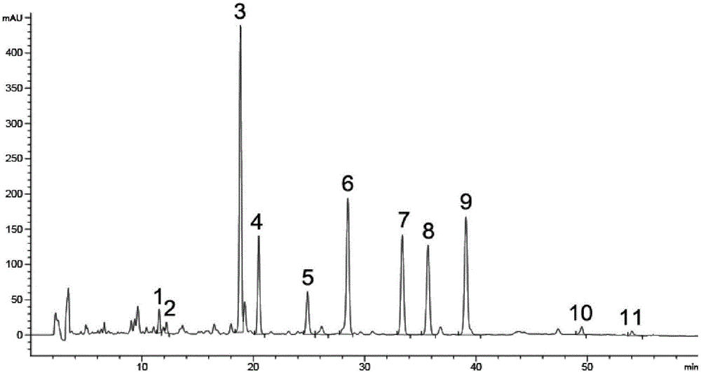 Preparation method of total flavonoids in psoralea corylifolia and new medical application of total flavonoids in psoralea corylifolia