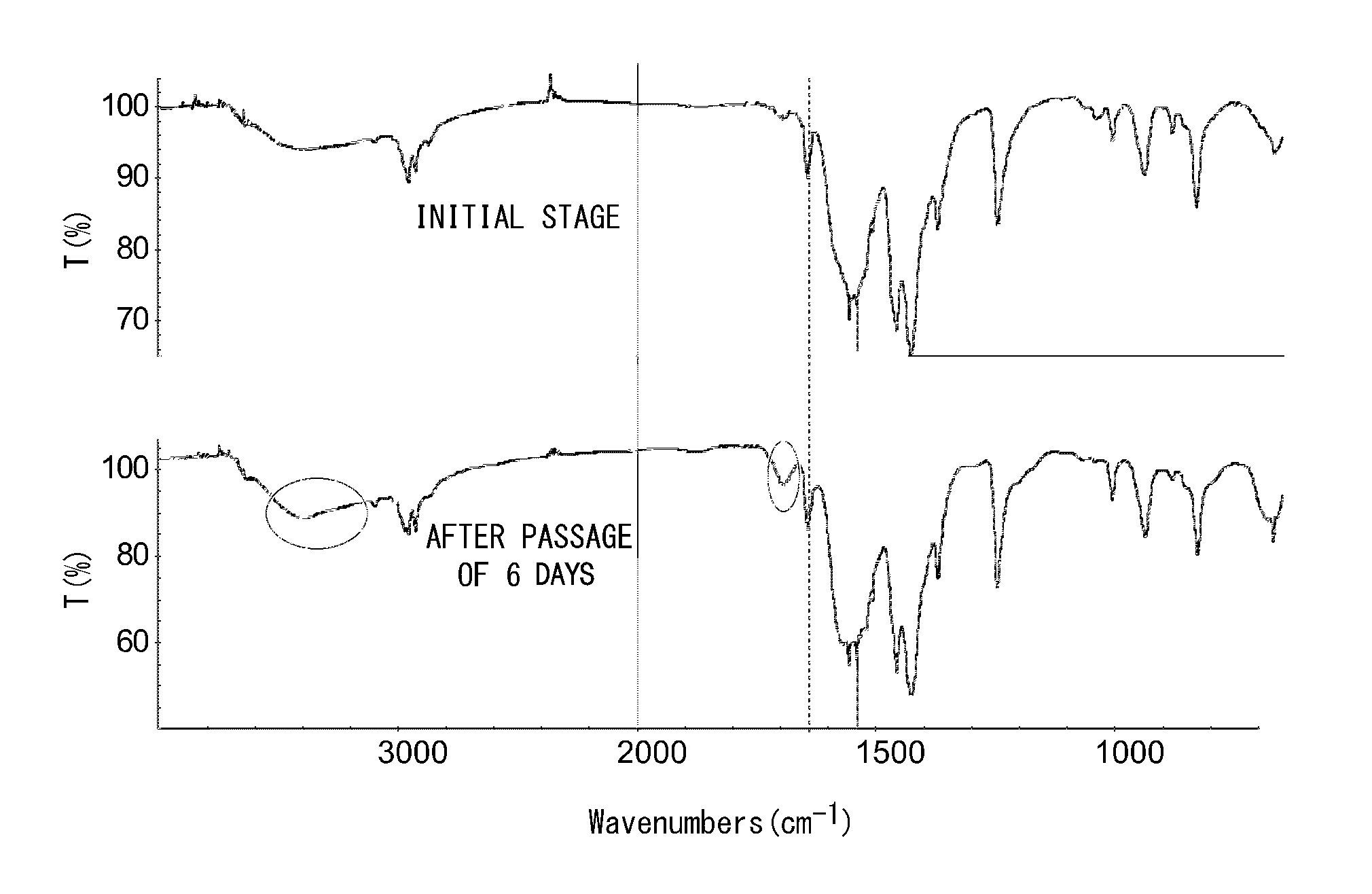 Negative resist composition, method of forming resist pattern, and complex