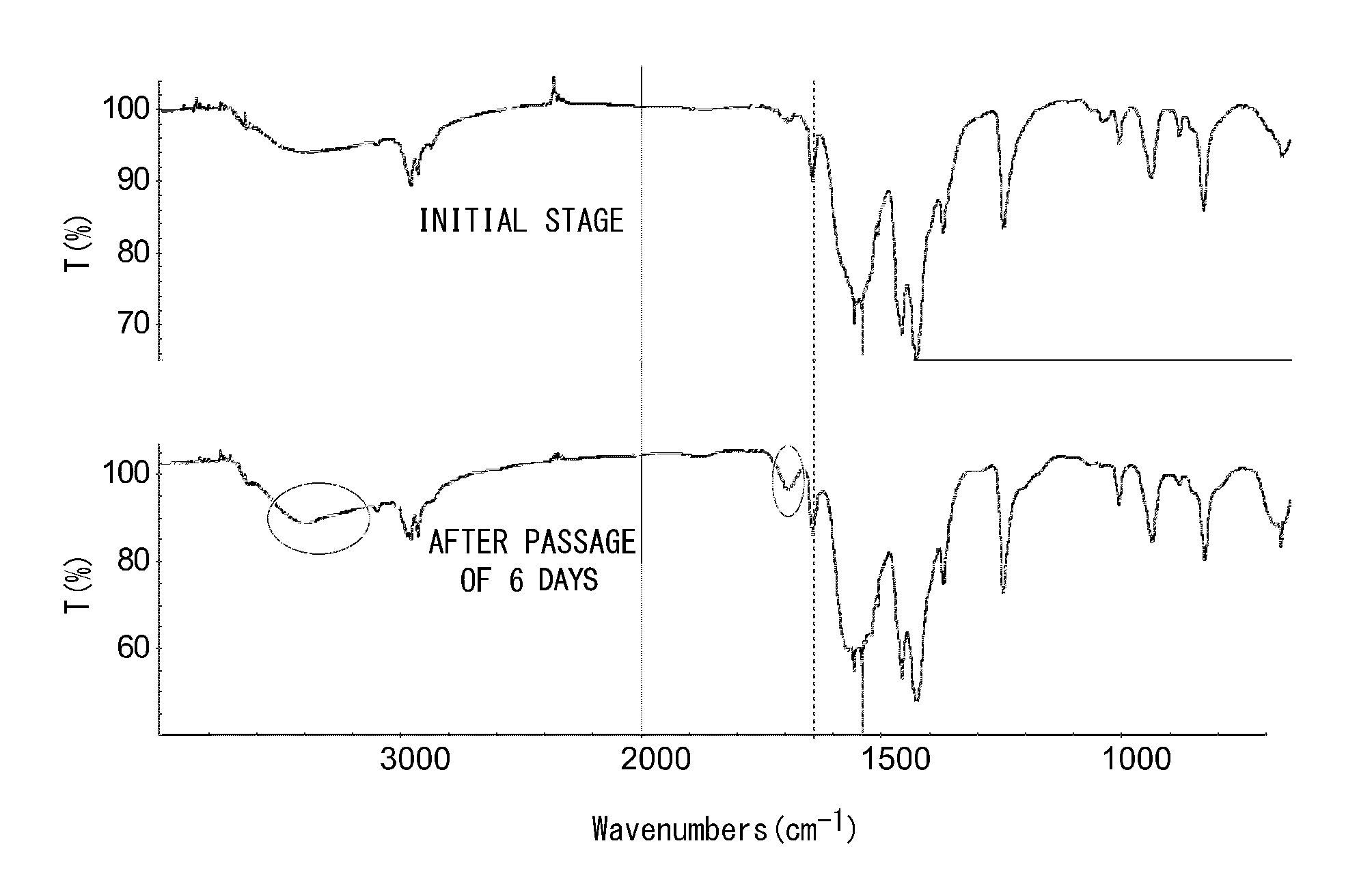 Negative resist composition, method of forming resist pattern, and complex