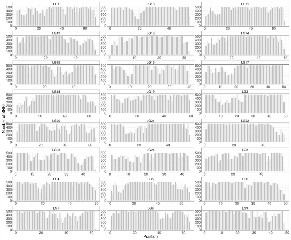 Larimichthys crocea genome breeding chip and application