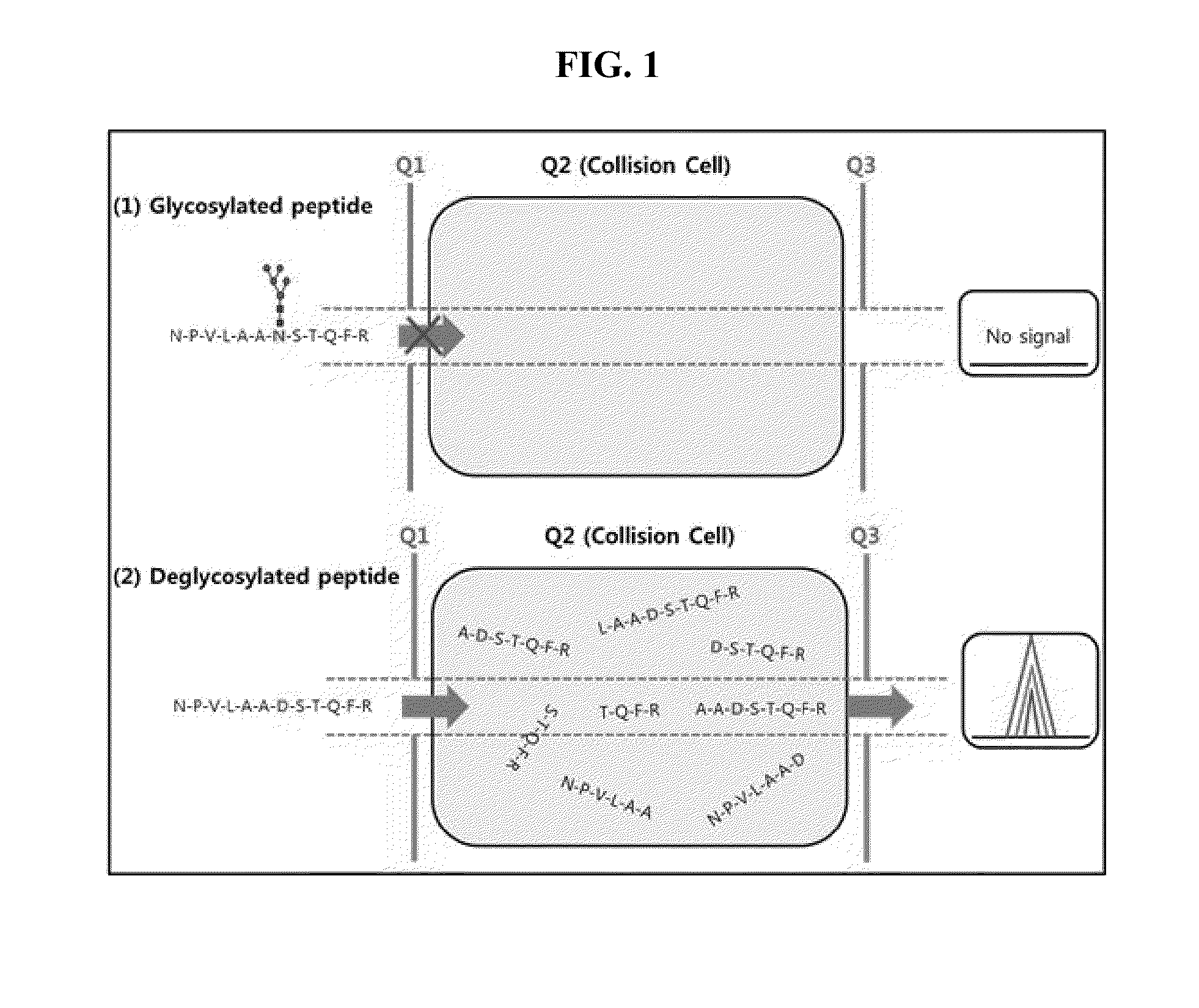 Method for diagnosing cancer through detection of deglycosylation of glycoprotein