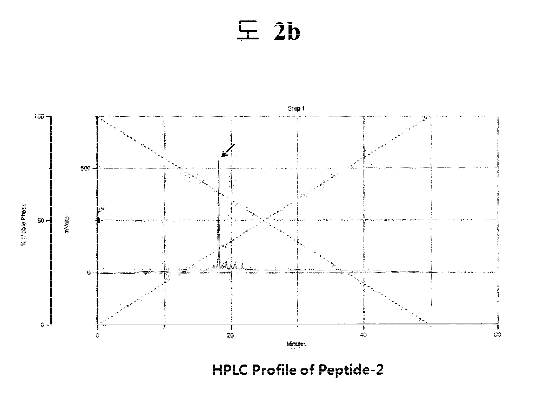 Growth Factor-Mimicking Peptides and Uses Thereof