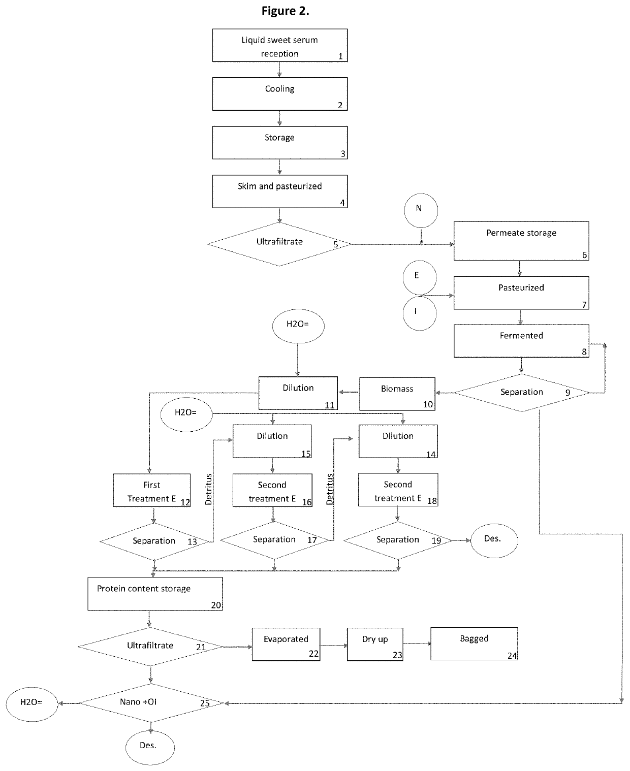 Method for obtaining protein from whey or molasses