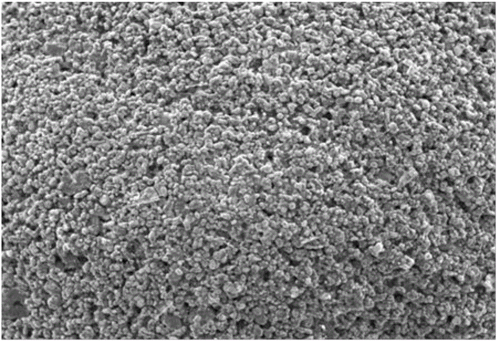 Preparation method of lithium ferric phosphate cathode slurry