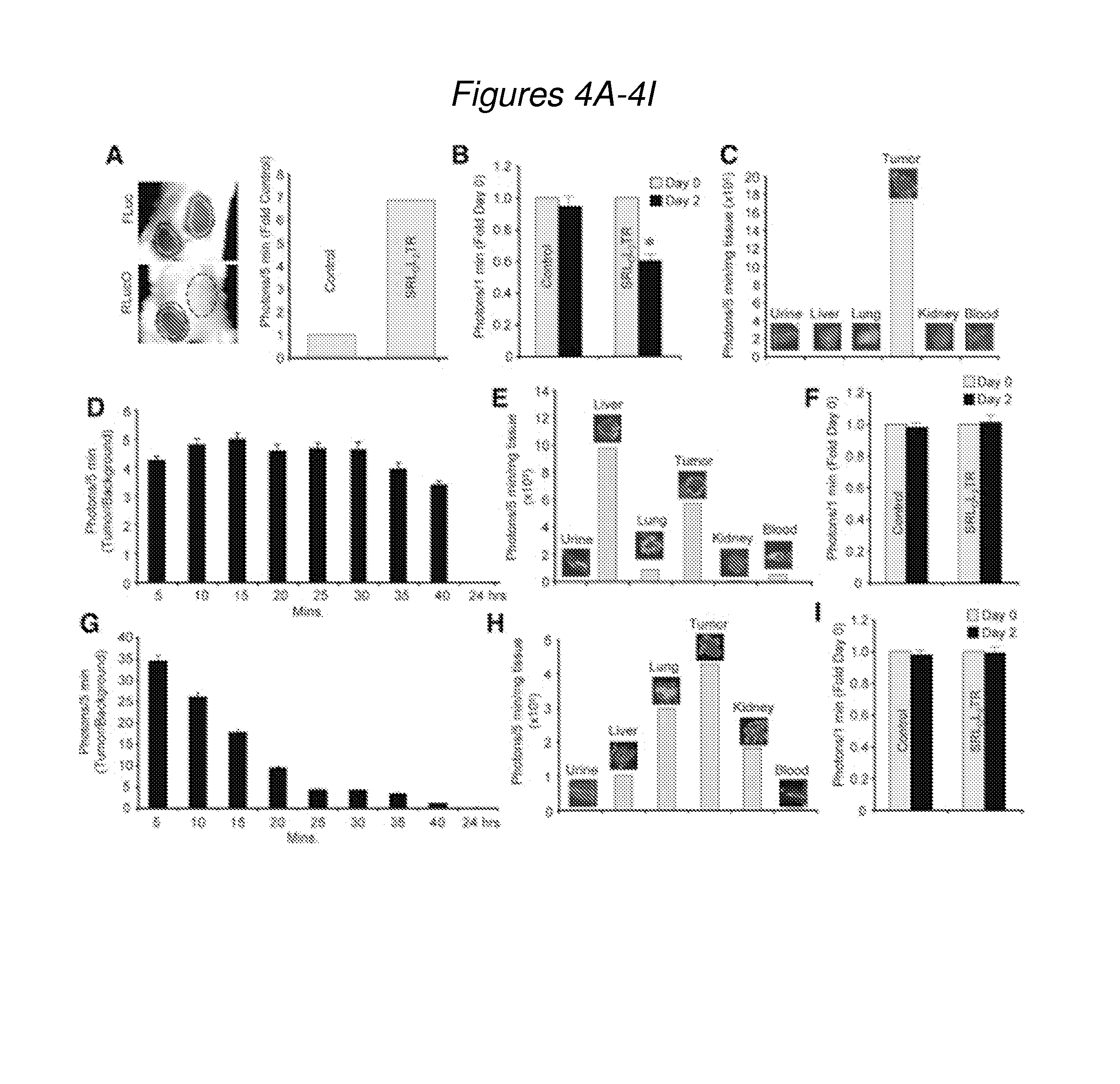 Multimodal trail molecules and uses in cellular therapies