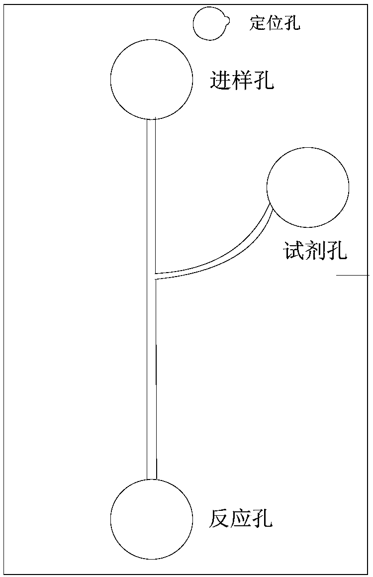 Primers for detecting hepatitis B virus nucleic acids, probe, kit and detection method