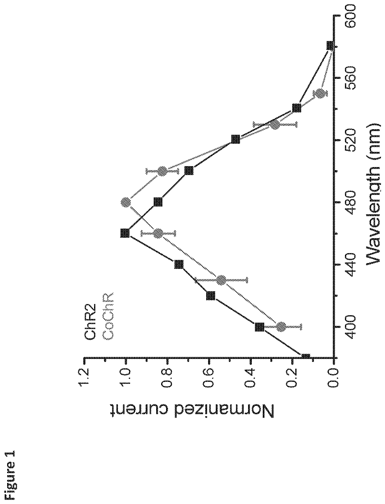 Identification of mutations in channelopsin variants having improved light sensitivity and methods of use thereof