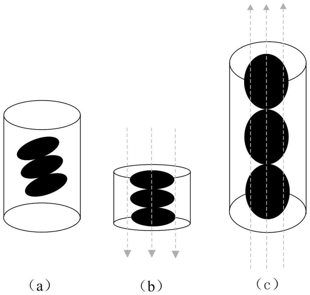 Self-propelled wireless detection capsule endoscope system