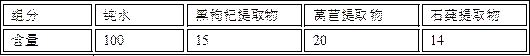 Anti-aging composition and preparation method thereof