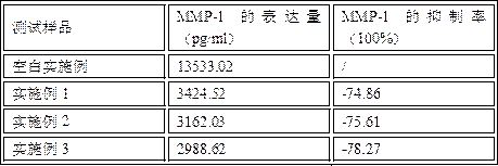 Anti-aging composition and preparation method thereof