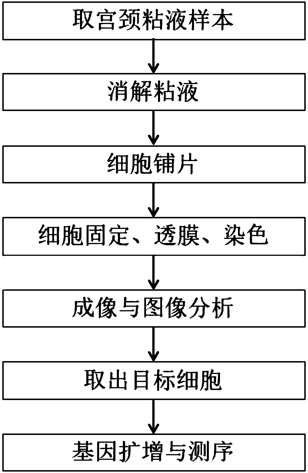 Marker, identification method, detection kit and application of fetal trophoblastic cells